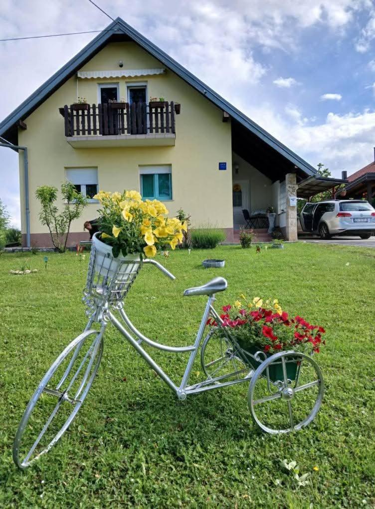 Yellow Rose Rakovica Exterior photo